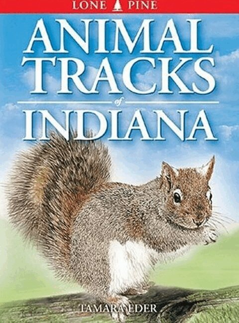 Tamara Eder - Animal Tracks of Indiana, Häftad