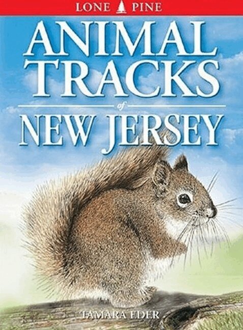 Tamara Eder, Edwin Arnfield - Animal Tracks of New Jersey, Häftad