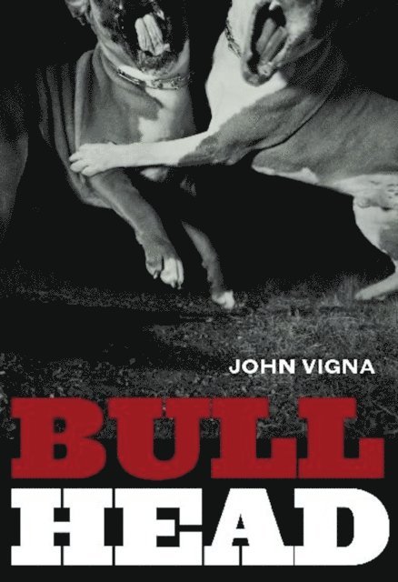 John Vigna - Bull Head, E-bok