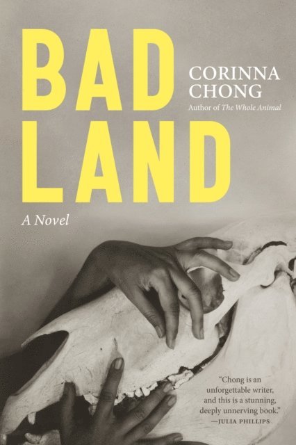 Corinna Chong - Bad Land, E-bok
