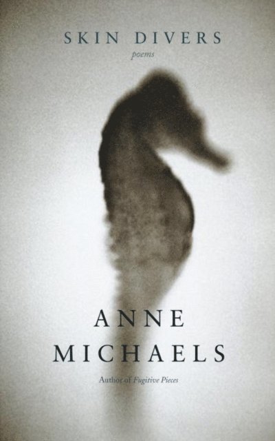 Anne Michaels - Skin Divers, E-bok