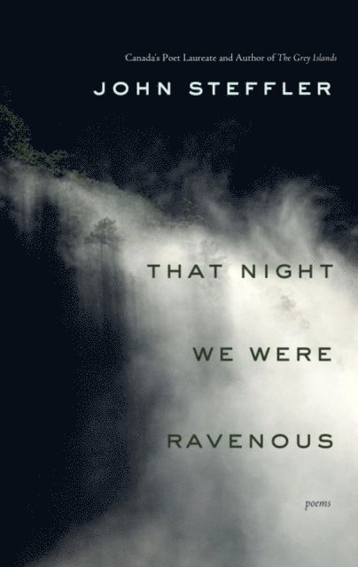John Steffler - That Night We Were Ravenous, E-bok