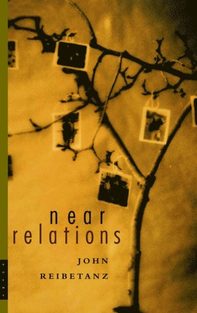 John Reibetanz - Near Relations, E-bok