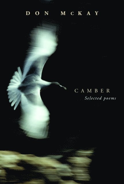 Don McKay - Camber, E-bok