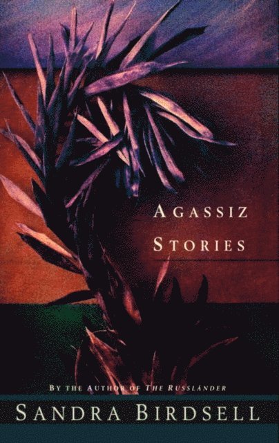 Sandra Birdsell - Agassiz Stories, E-bok