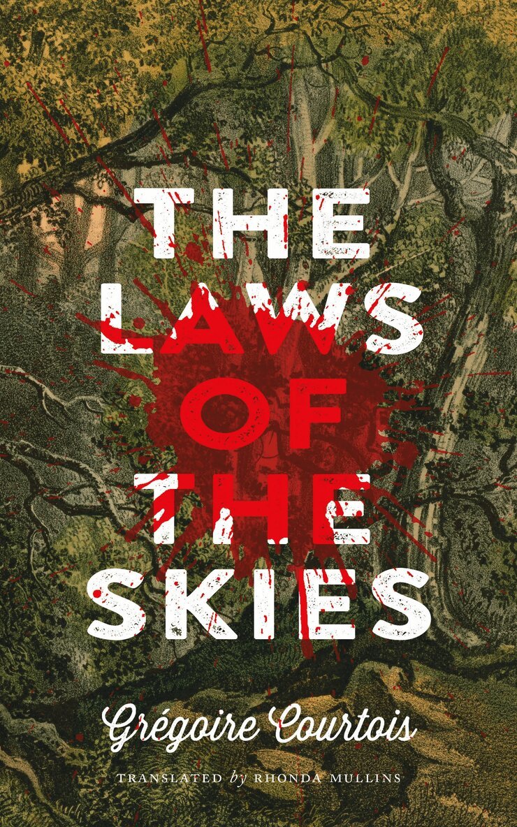 Grégoire Courtois - Laws of the Skies, Häftad