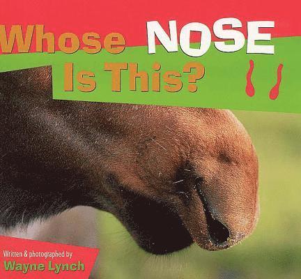 Wayne Lynch - Whose Nose Is This?, Häftad