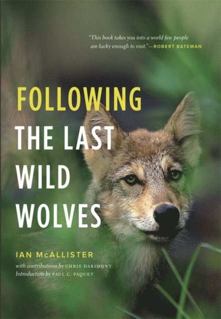 Ian McAllister - Following the Last Wild Wolves, E-bok
