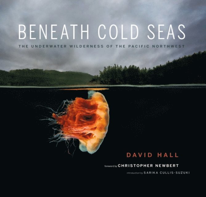 David Hall - Beneath Cold Seas, E-bok