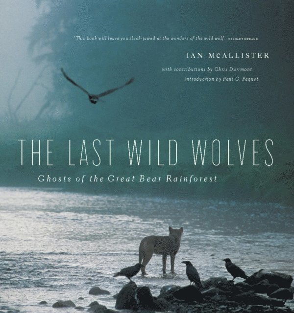Ian McAllister - Last Wild Wolves, E-bok