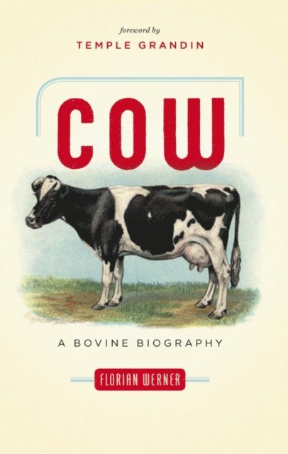 Florian Werner - Cow, E-bok