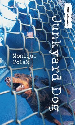 Monique Polak - Junkyard Dog, Häftad. Tillgänglighet: Tillfälligt slut