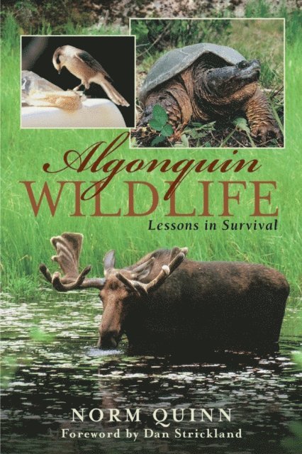Norm Quinn - Algonquin Wildlife, E-bok. Tillgänglighet: Lägg i varukorg