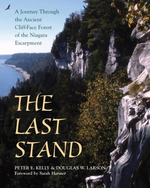 Doug Larson, Peter E. Kelly - Last Stand, E-bok