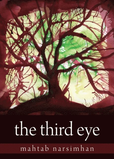 Mahtab Narsimhan - Third Eye, E-bok