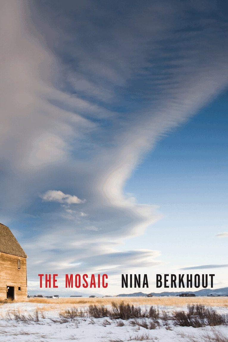 Nina Berkhout - Mosaic, Inbunden