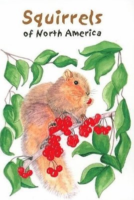 Millie Miller, Cyndi Nelson - Squirrels of North America, Häftad. Tillgänglighet: Tillfälligt slut