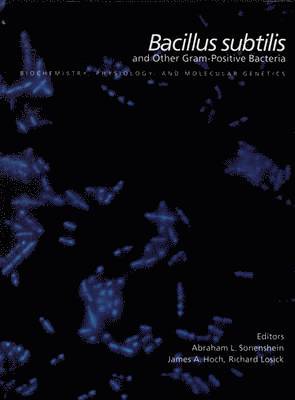 Bacillus subtilis and other gram-positive bacteria, Inbunden