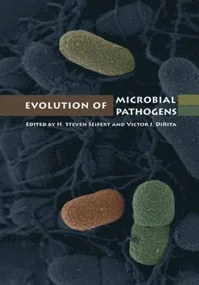 H. Steven Seifert, Victor J. Dirita - Evolution of Microbial Pathogens, Inbunden. Tillgänglighet: Tillfälligt slut
