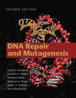 Errol Friedberg - Dna repair and mutagenesis, Inbunden. Tillgänglighet: Tillfälligt slut
