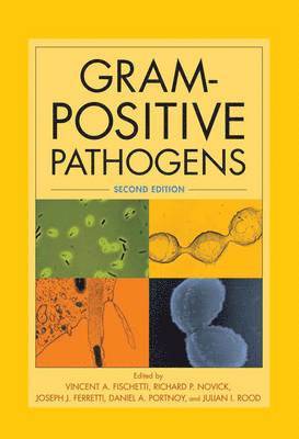 Vincent Fischetti - Gram-positive pathogens, Inbunden