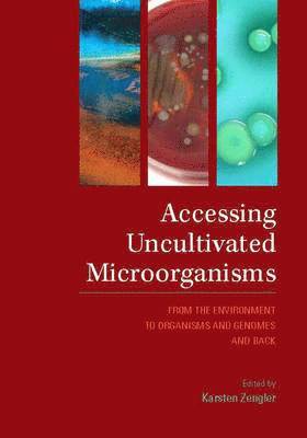 Karsten Zengler - Accessing uncultivated microorganisms - from the environment to organisms a, Inbunden