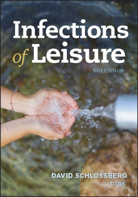 David L. Schlossberg - Infections of Leisure, E-bok