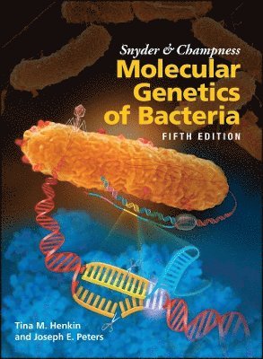 Tina M. Henkin, Joseph E. Peters - Snyder and Champness Molecular Genetics of Bacteria, Inbunden