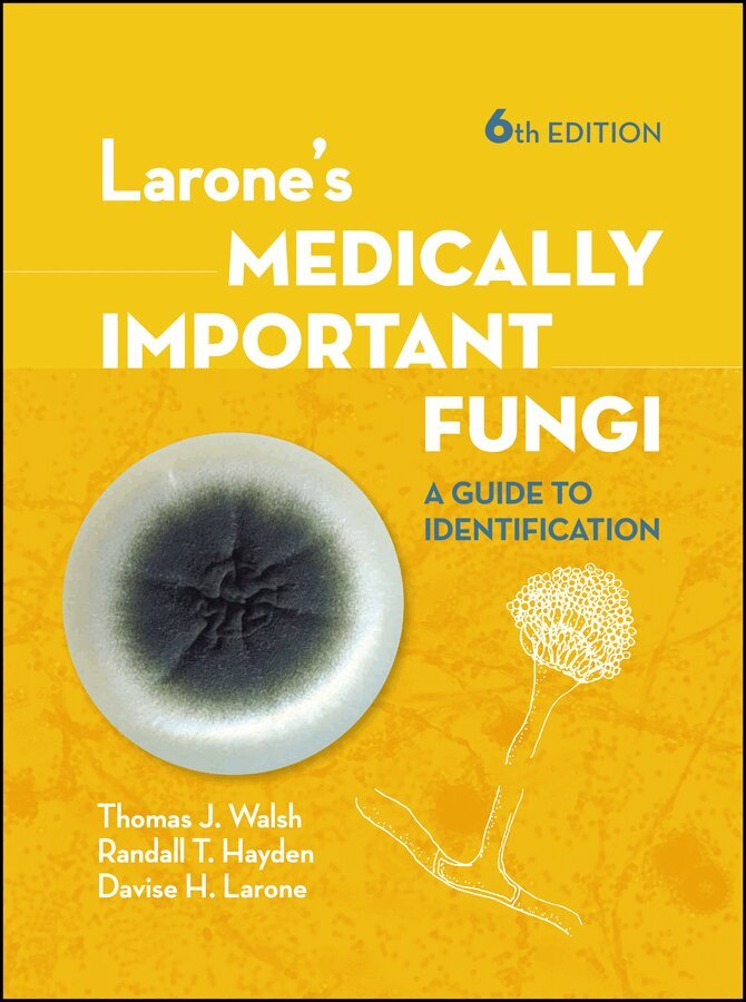 Thomas J. Walsh, Randall T. Hayden, Davise H. Larone - Larone's Medically Important Fungi, E-bok