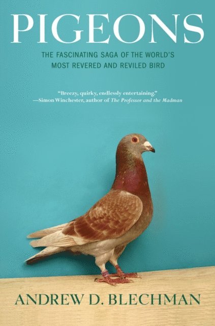 Andrew D. Blechman - Pigeons, E-bok