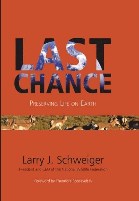 Larry J. Schweiger - Last Chance, E-bok