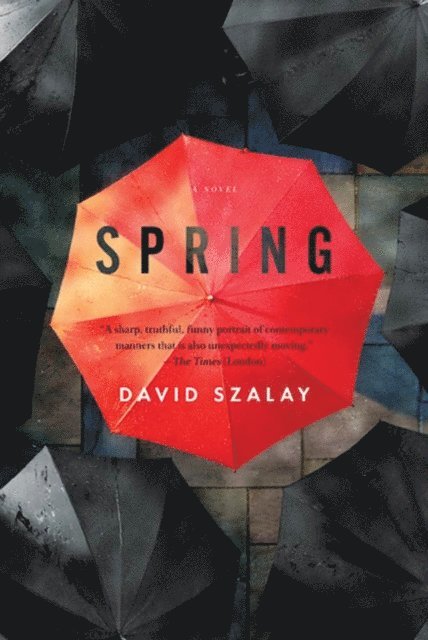 David Szalay - Spring, E-bok