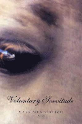 Mark Wunderlich - Voluntary Servitude, Häftad