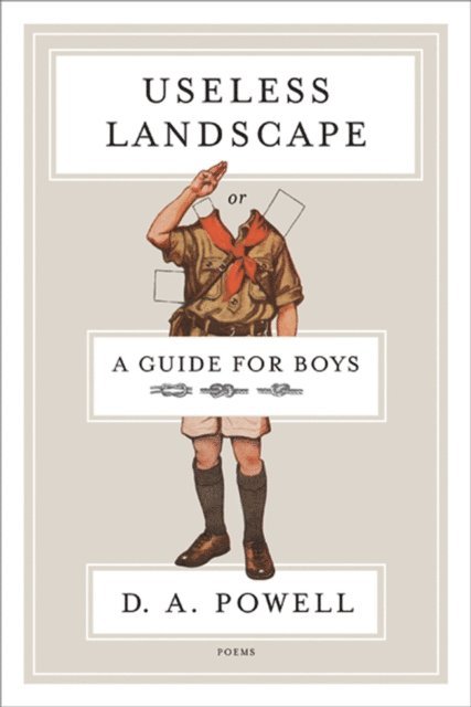 D. A. Powell - Useless Landscape, or A Guide for Boys, E-bok