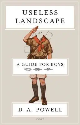 D. A. Powell - Useless Landscape, or A Guide for Boys, Häftad. Tillgänglighet: Lägg i varukorg
