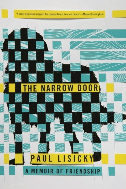 Paul Lisicky - Narrow Door, E-bok