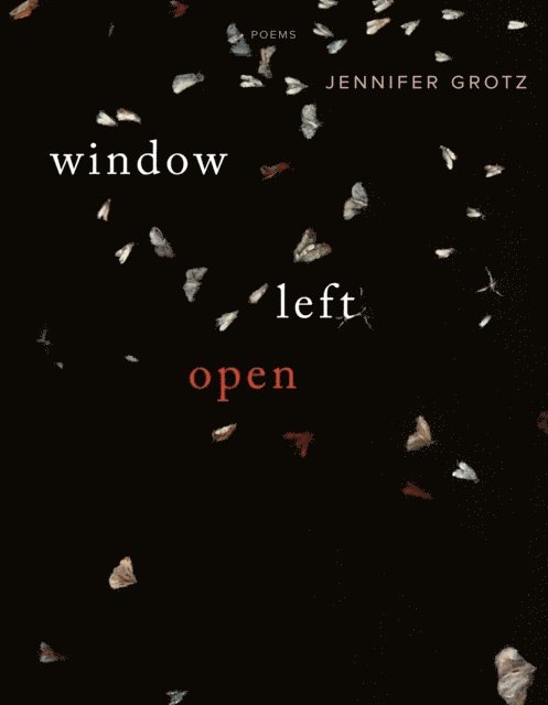 Jennifer Grotz - Window Left  Open, E-bok