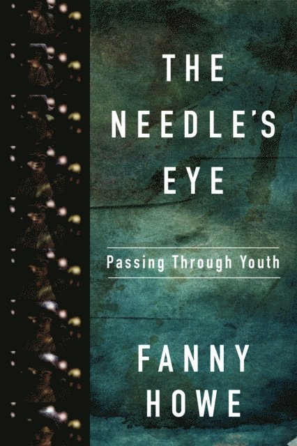 Fanny Howe - Needle's Eye, E-bok