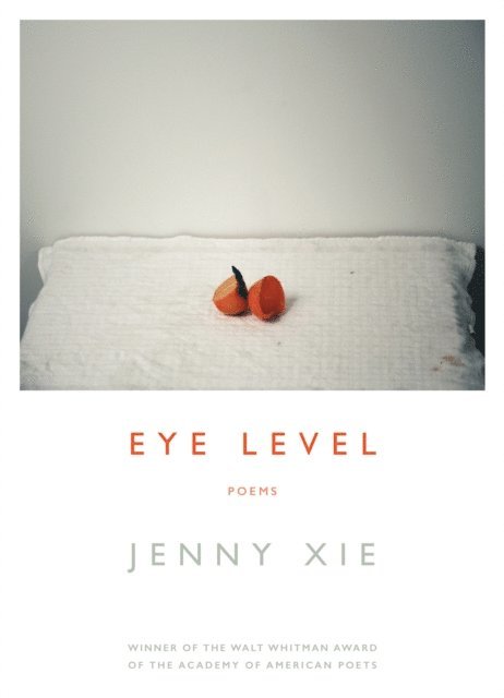 Jenny Xie - Eye Level, E-bok