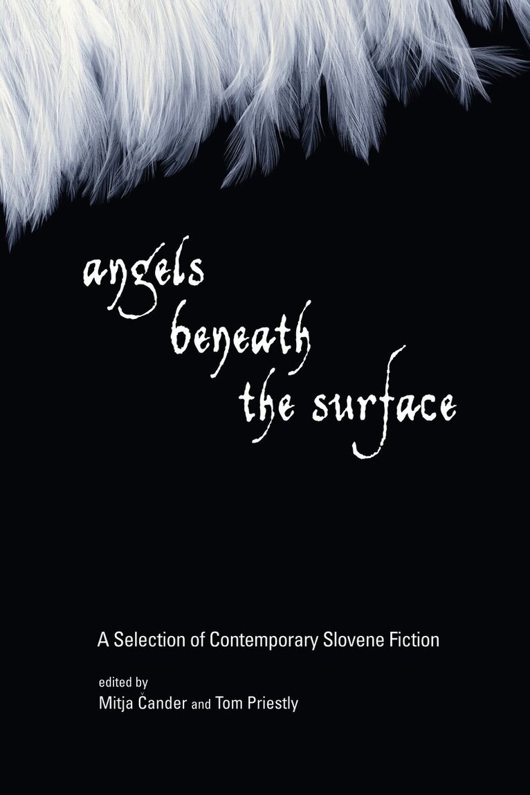 Mitja Cander, Tom Priestly - Angels Beneath the Surface, Häftad