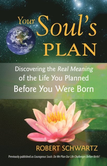 Robert Schwartz - Your Soul's Plan, E-bok