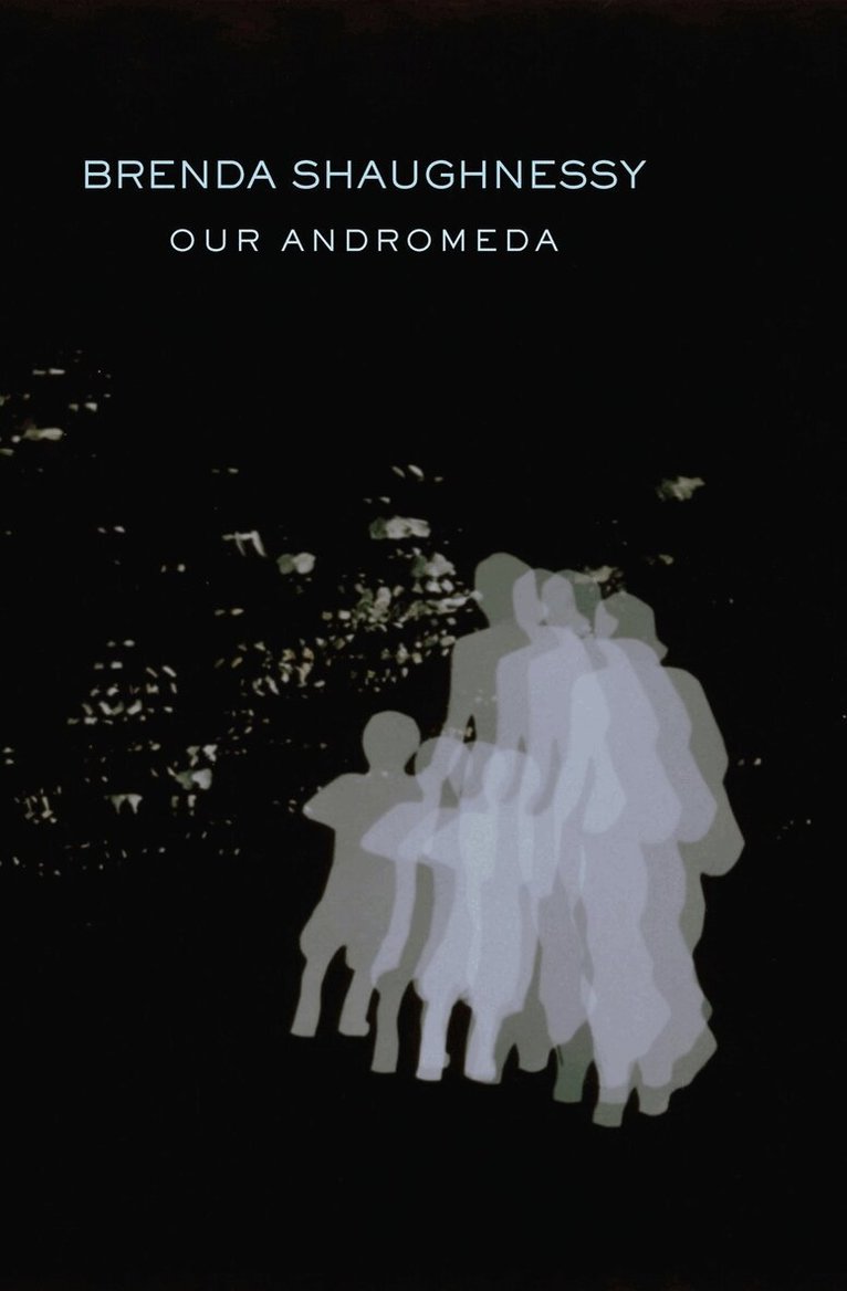 Brenda Shaughnessy - Our Andromeda, Häftad. Tillgänglighet: Lägg i varukorg