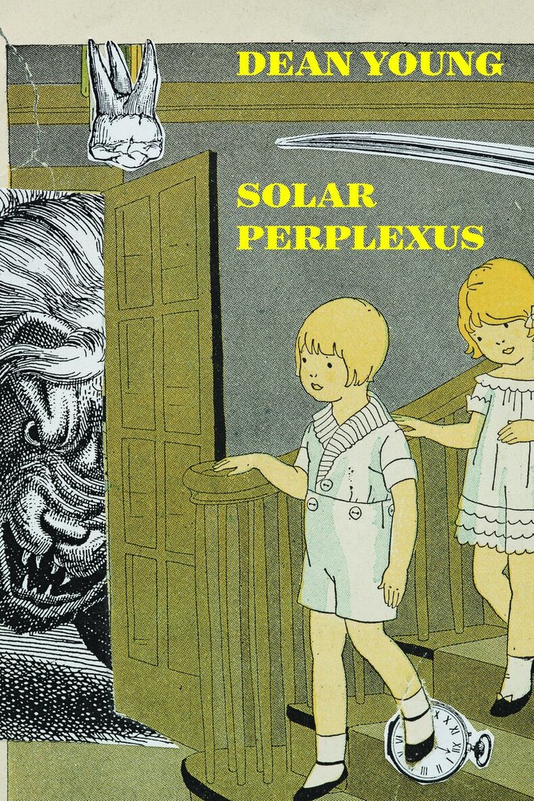 Dean Young - Solar Perplexus, Inbunden