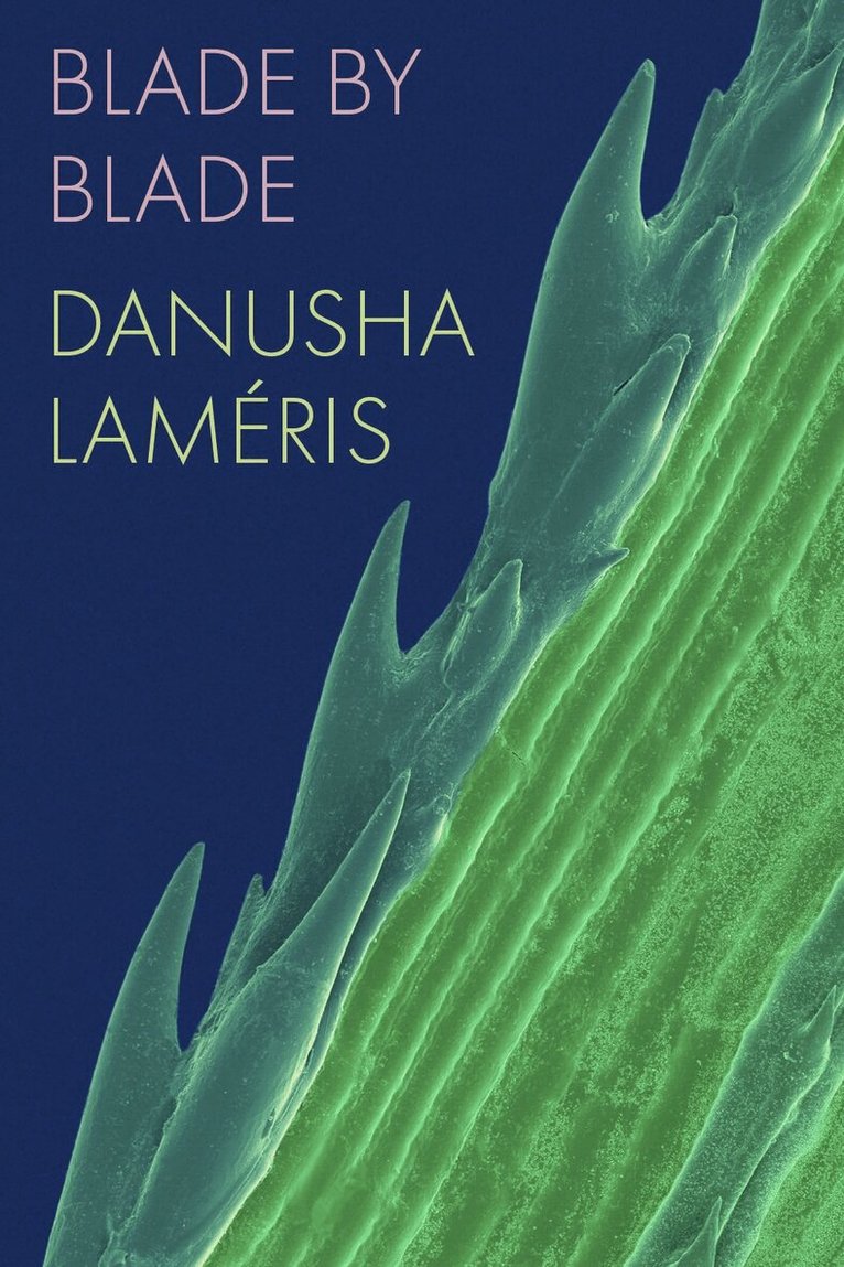 Danusha Laméris - Blade by Blade, Häftad. Tillgänglighet: Lägg i varukorg