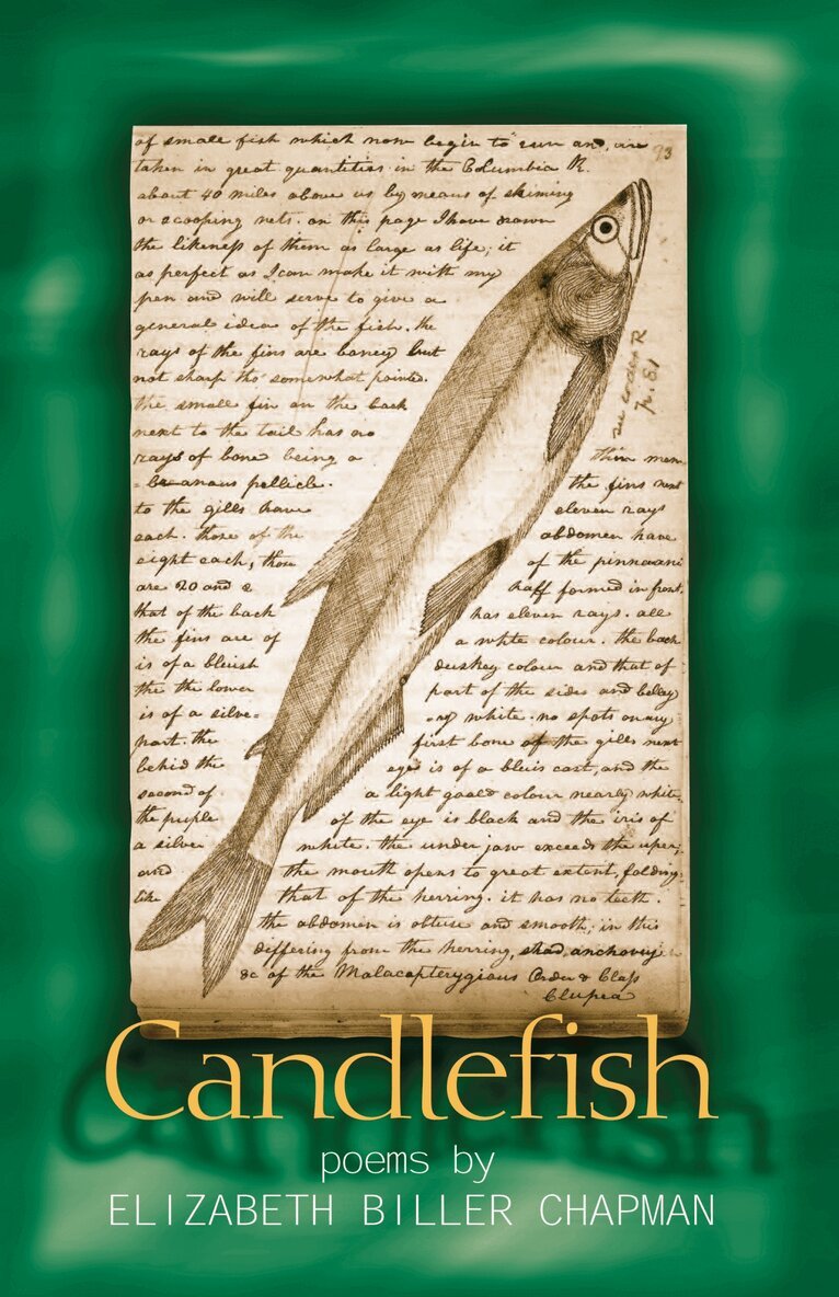Elizabeth Chapman - Candlefish, Häftad. Tillgänglighet: Tillfälligt slut