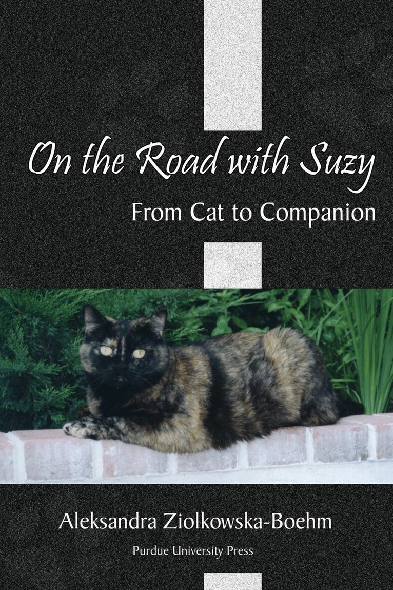 On the Road with Suzy