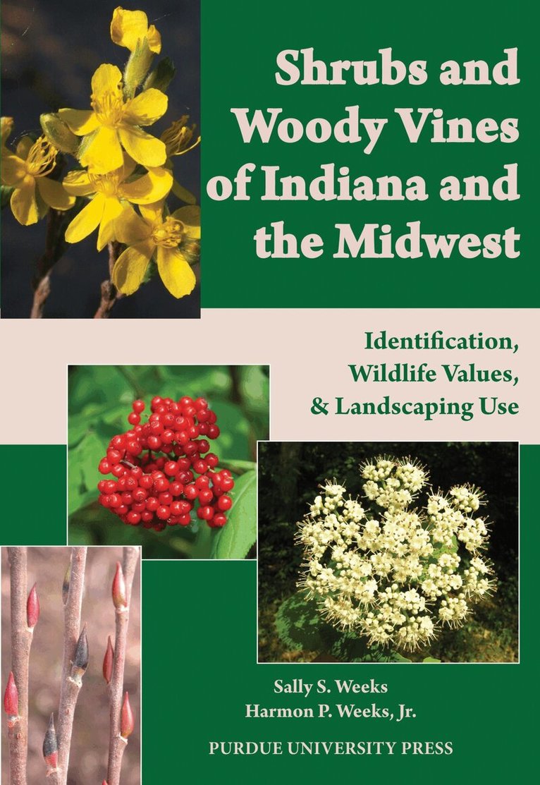 Sally S. Weeks, Harmon P. Weeks Jr. - Shrubs and Woody Vines of Indiana and the Midwest, Häftad