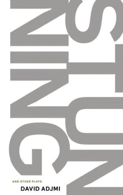 David Adjmi - Stunning and Other Plays, E-bok