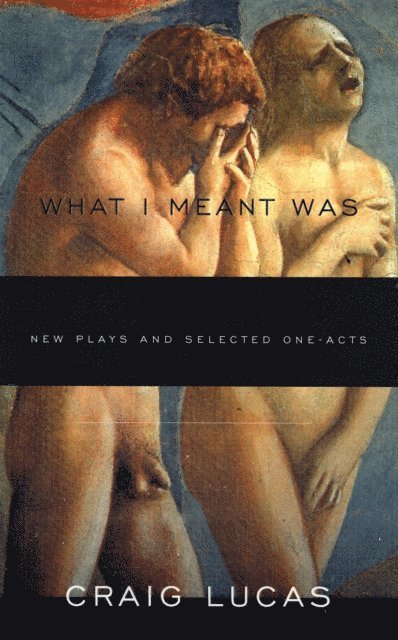 Craig Lucas - What I Meant Was, E-bok