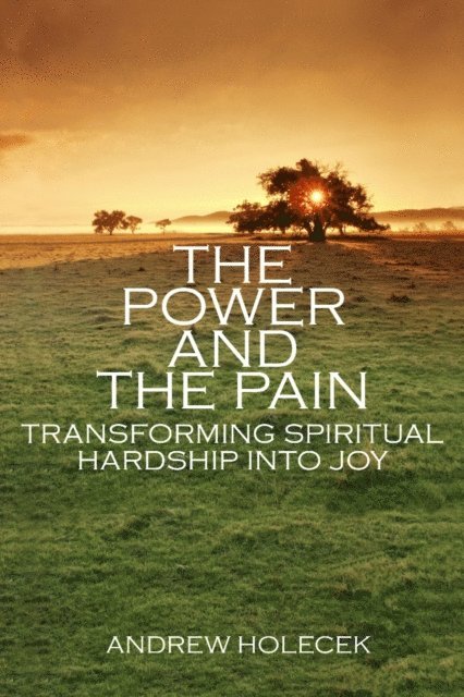 Andrew Holecek - Power and the Pain, E-bok